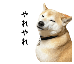 765138370
