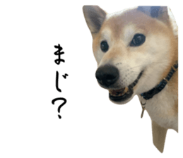 765138374