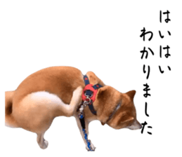 765138376
