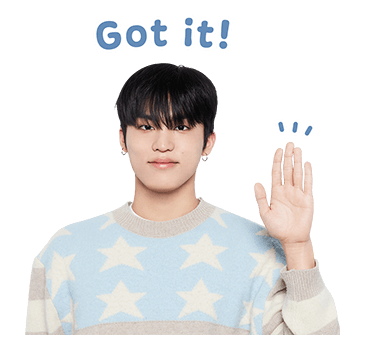 ลายที่ 13