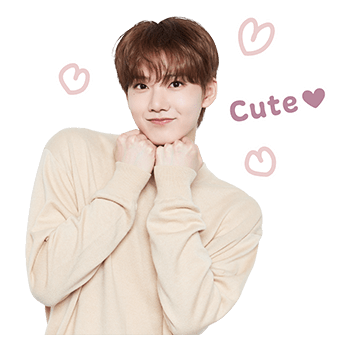 ลายที่ 15