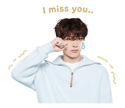 ลายที่ 27