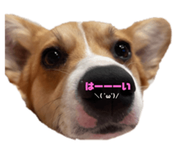 765151876