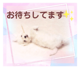 765153619