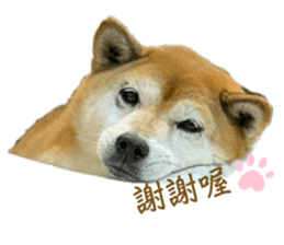765154315