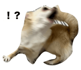 765155850