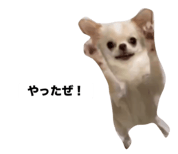 765155857