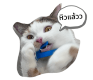 765158326