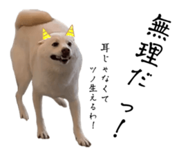 765161243