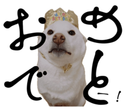 765161255