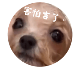 765168039