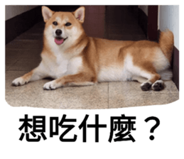 765173731