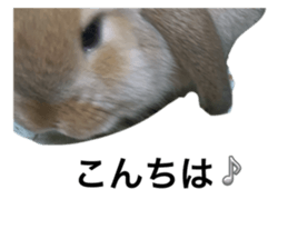 765225914
