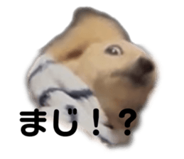 765227411