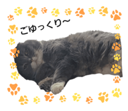 765228009