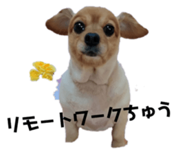 765228561