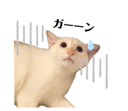 765228878