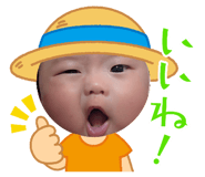 765233806