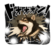 765234400