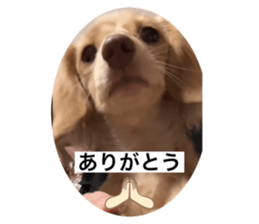 765234733