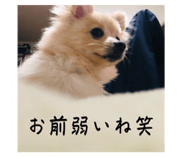 765234933