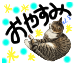 765235135