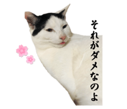 765237536