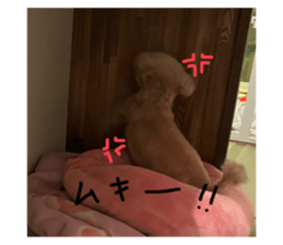 765238802
