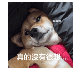 765239459