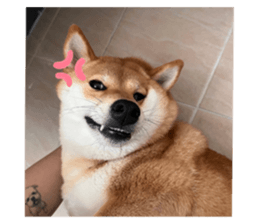 765239470