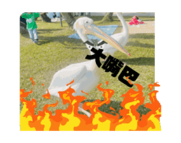 765240362