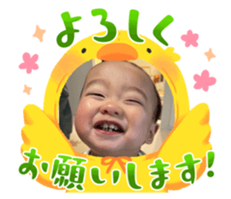 765246621