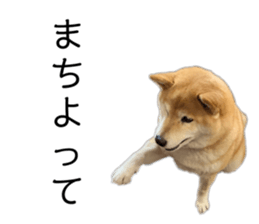 765278602