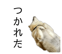 765278611