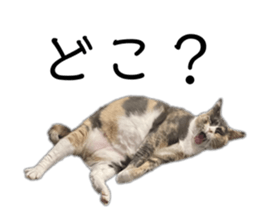 765278616