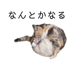 765278624