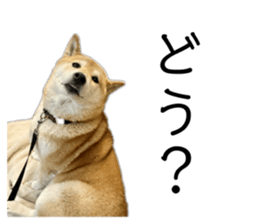 765278625