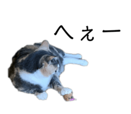 765278632