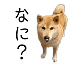 765278633