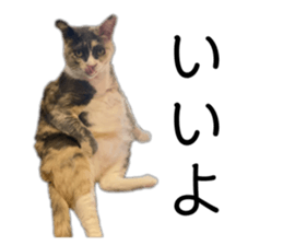 765278637