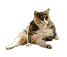 765278638