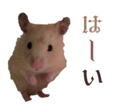 765292751