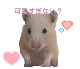 765292755