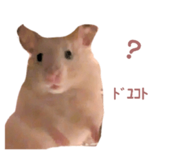 765292756