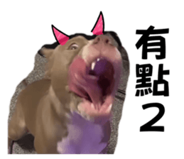 765294846