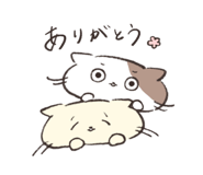 765296742