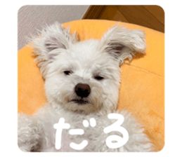 765298272