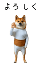 765299249