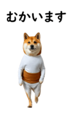 765299250