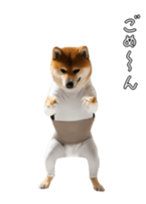 765299251